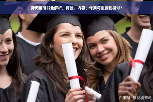 待岗证明书全解析，背景、内容、作用与重要性探讨?