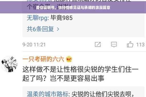 爱你证明书，独特情感见证与承诺的浪漫篇章