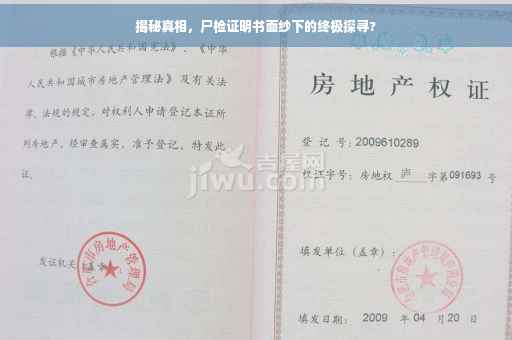 揭秘真相，尸检证明书面纱下的终极探寻?
