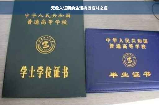 无收入证明的生活挑战应对之道