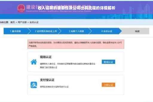 收入证明的重要性及公司出具流程的详细解析