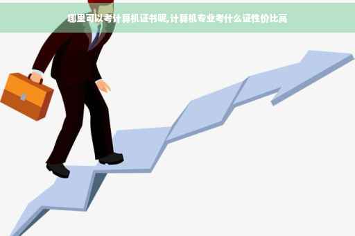 哪里可以考计算机证书呢,计算机专业考什么证性价比高