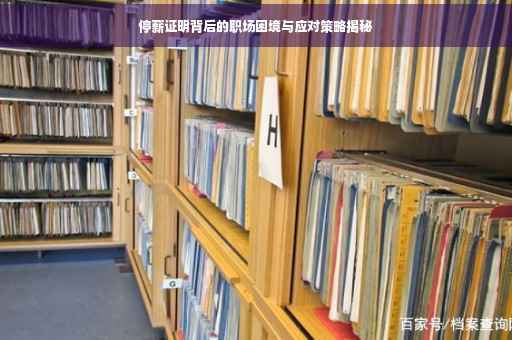 停薪证明背后的职场困境与应对策略揭秘