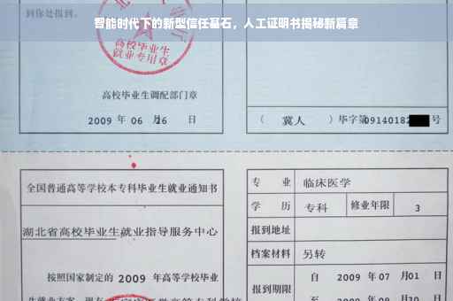 智能时代下的新型信任基石，人工证明书揭秘新篇章