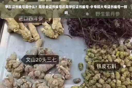 学历证书编号是什么？是毕业证书编号还是学位证书编号-中专和大专证书编号一样吗