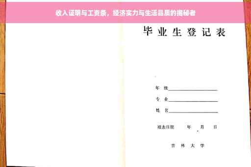 收入证明与工资条，经济实力与生活品质的揭秘者