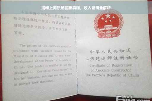 揭秘上海职场薪酬真相，收入证明全解析