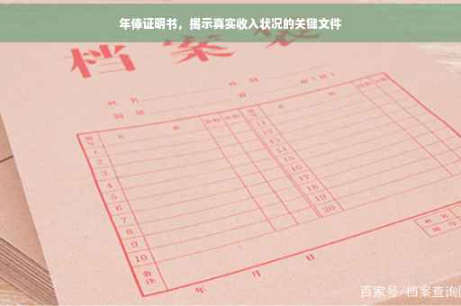 年俸证明书，揭示真实收入状况的关键文件