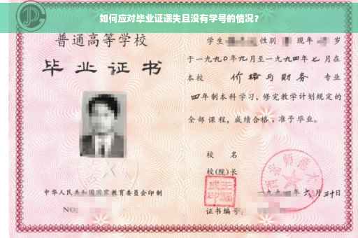 如何应对毕业证遗失且没有学号的情况？