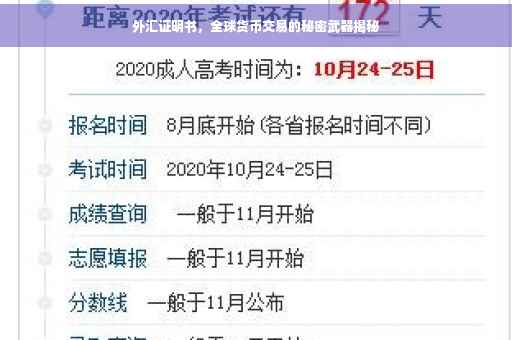 外汇证明书，全球货币交易的秘密武器揭秘