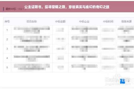 公主证明书，探寻荣耀之路，穿梭真实与虚幻的奇幻之旅