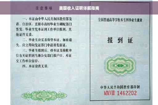 美国收入证明详解指南