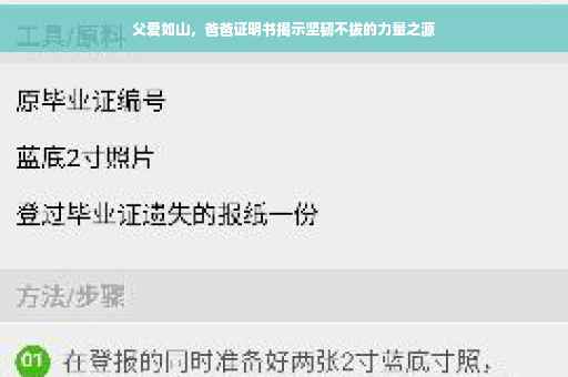 父爱如山，爸爸证明书揭示坚韧不拔的力量之源