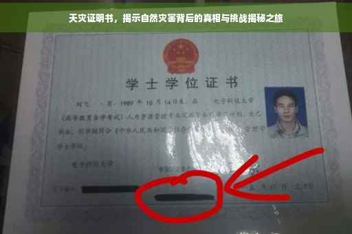 天灾证明书，揭示自然灾害背后的真相与挑战揭秘之旅