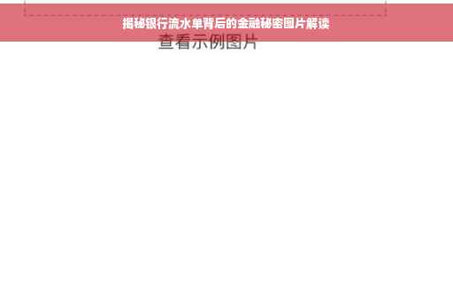 揭秘银行流水单背后的金融秘密图片解读