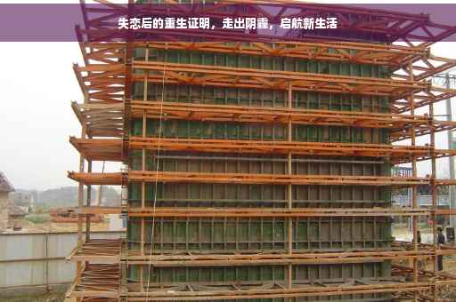 失恋后的重生证明，走出阴霾，启航新生活