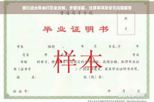 银行流水账单打印全攻略，步骤详解、注意事项及常见问题解答