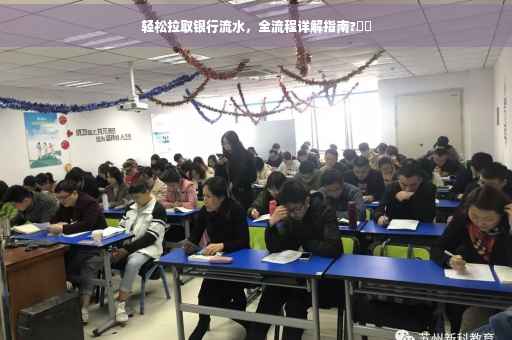 轻松拉取银行流水，全流程详解指南?⚡️