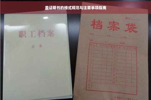 盖证明书的格式规范与注意事项指南