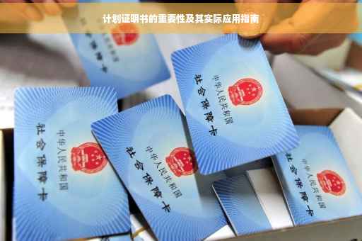 计划证明书的重要性及其实际应用指南