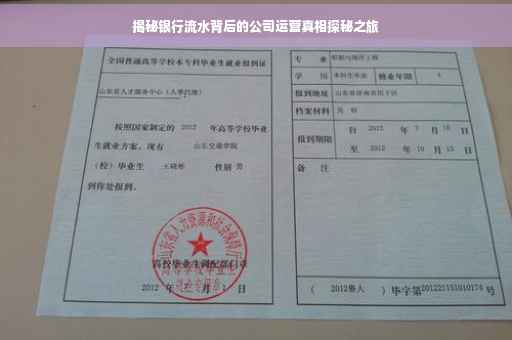 揭秘银行流水背后的公司运营真相探秘之旅