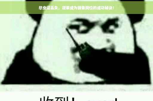 毕业证丢失，逆袭成为销售岗位的成功秘诀！
