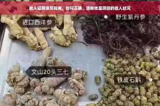 收入证明填写指南，如何正确、清晰地呈现你的收入状况