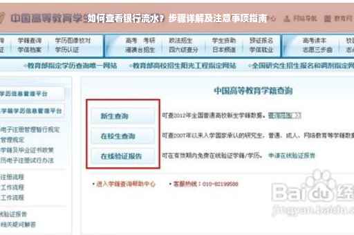 如何查看银行流水？步骤详解及注意事项指南
