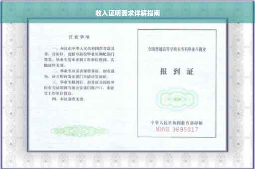 收入证明要求详解指南