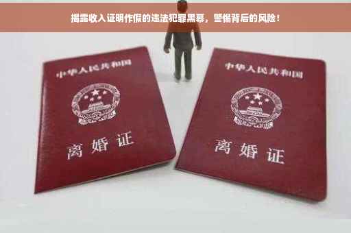 揭露收入证明作假的违法犯罪黑幕,警惕背后的风险! 揭露收入证明作假的违法犯罪黑幕,警惕背后的风险!