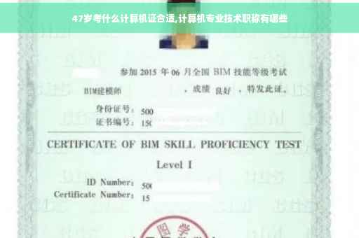 47岁考什么计算机证合适,计算机专业技术职称有哪些