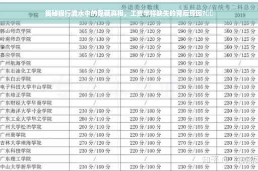 揭秘银行流水中的隐藏真相，工资字样缺失的背后原因?⚡️