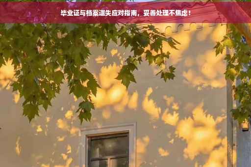 毕业证与档案遗失应对指南，妥善处理不焦虑！
