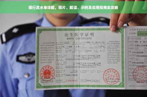 银行流水单详解，图片、解读、示例及应用指南全攻略