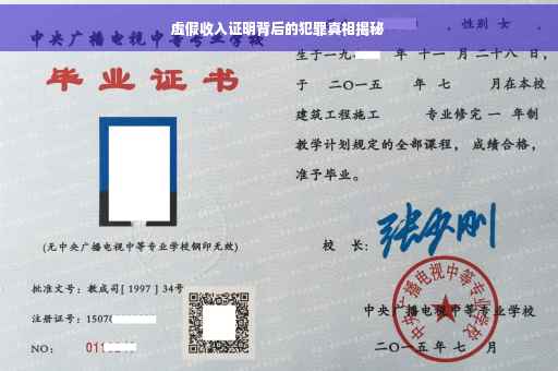 虚假收入证明背后的犯罪真相揭秘