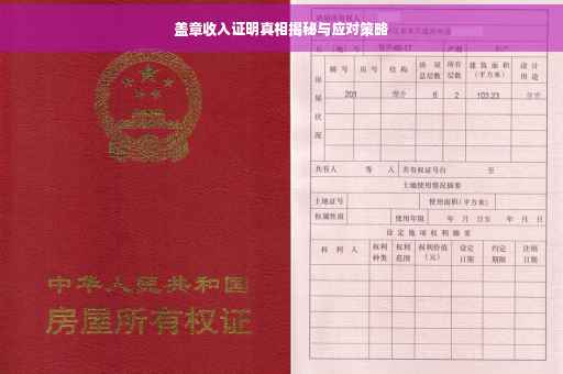 盖章收入证明真相揭秘与应对策略