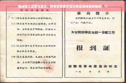 揭秘收入证明与流水，财务透明度的信任桥梁揭秘揭秘揭秘！??