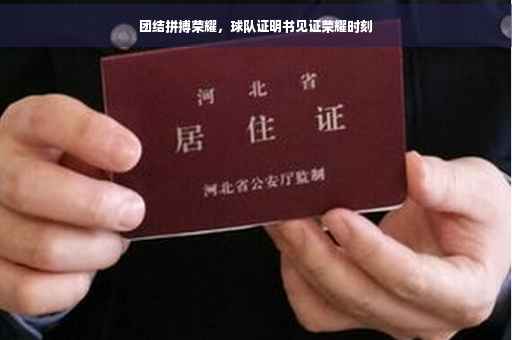 团结拼搏荣耀，球队证明书见证荣耀时刻
