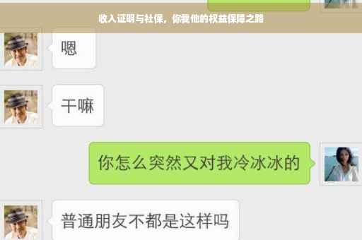 收入证明与社保，你我他的权益保障之路