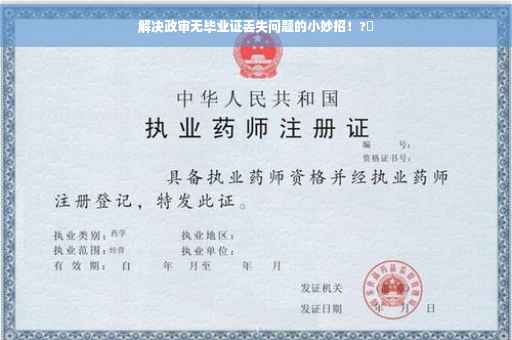 解决政审无毕业证丢失问题的小妙招！?✨