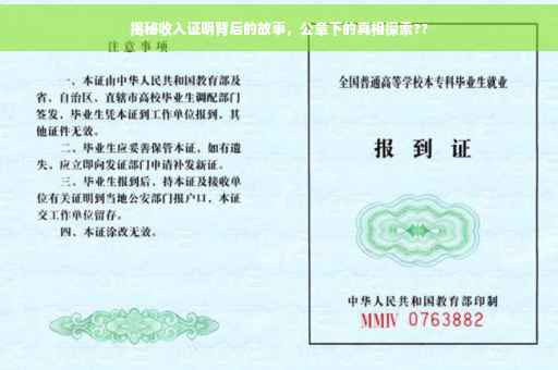 揭秘收入证明背后的故事，公章下的真相探索??