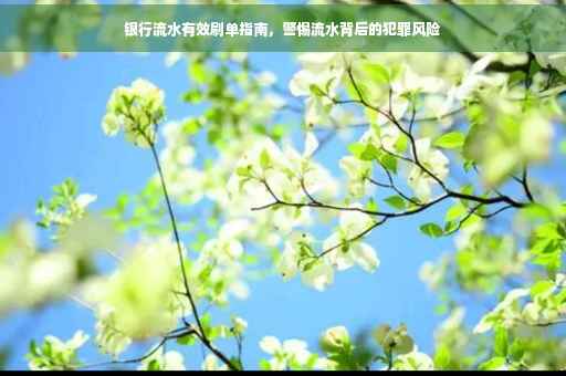 银行流水有效刷单指南，警惕流水背后的犯罪风险
