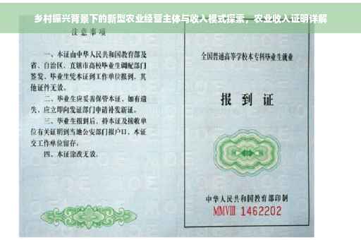 乡村振兴背景下的新型农业经营主体与收入模式探索，农业收入证明详解