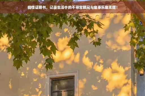 搞怪证明书，记录生活中的不寻常瞬间与趣事乐趣无限！