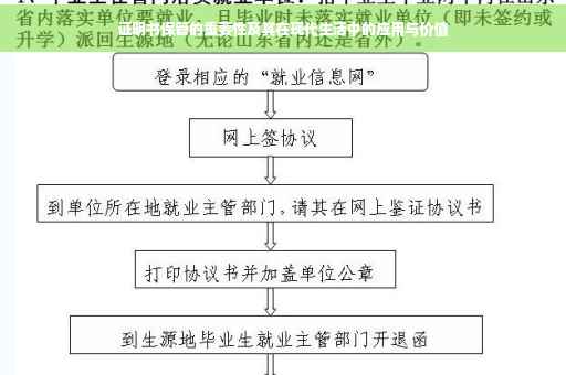 证明书保管的重要性及其在现代生活中的应用与价值