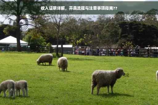 收入证明详解，开具流程与注意事项指南??