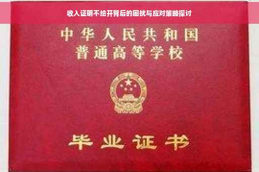 收入证明不给开背后的困扰与应对策略探讨