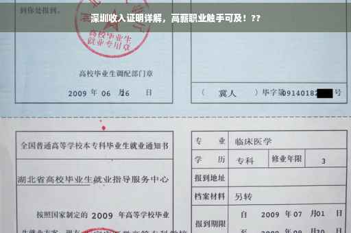 深圳收入证明详解，高薪职业触手可及！??