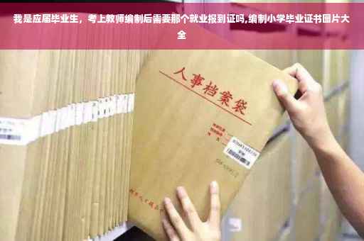 我是应届毕业生，考上教师编制后需要那个就业报到证吗,编制小学毕业证书图片大全