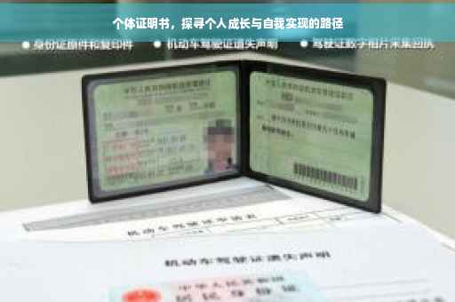 个体证明书，探寻个人成长与自我实现的路径